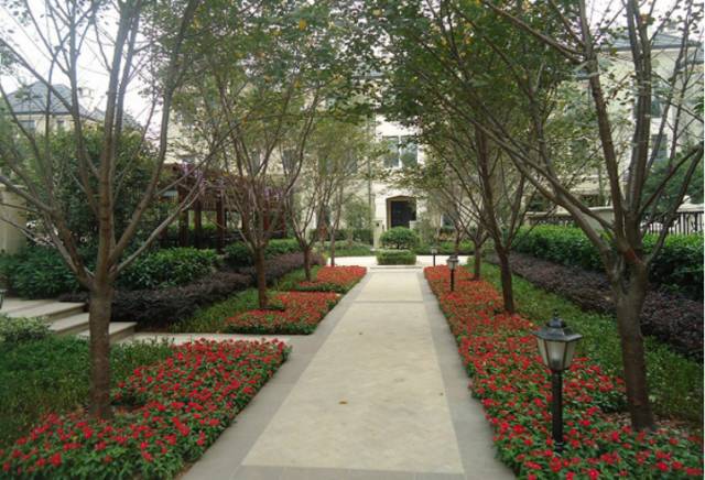 绿化设计中的地被放线手法与植物配置-52