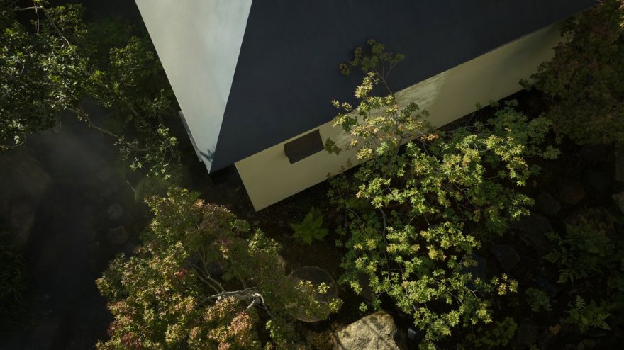 山间茶室 · 疫情下的自由与边界探索丨中国厦门丨「听任」工作室-19