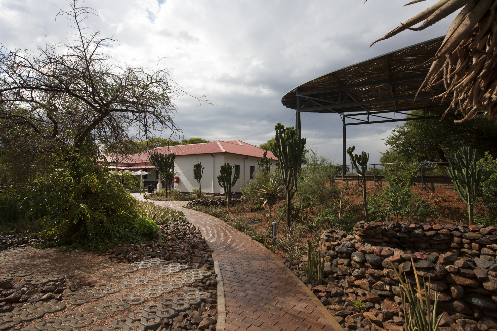 Moruleng 文化区丨南非丨Office 247 Architecture-15