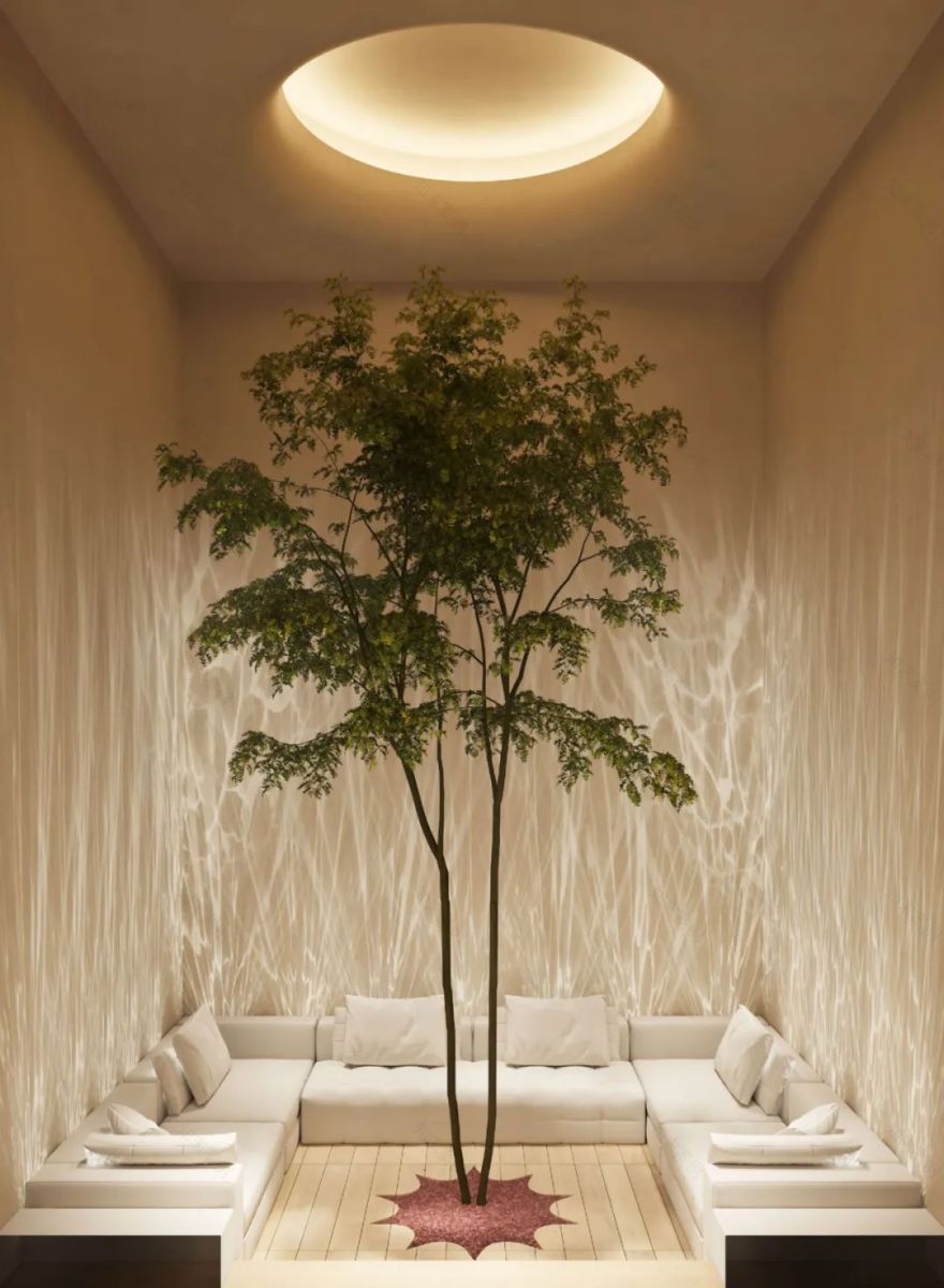 自贡 INFINI丨中国自贡丨熊猫-34