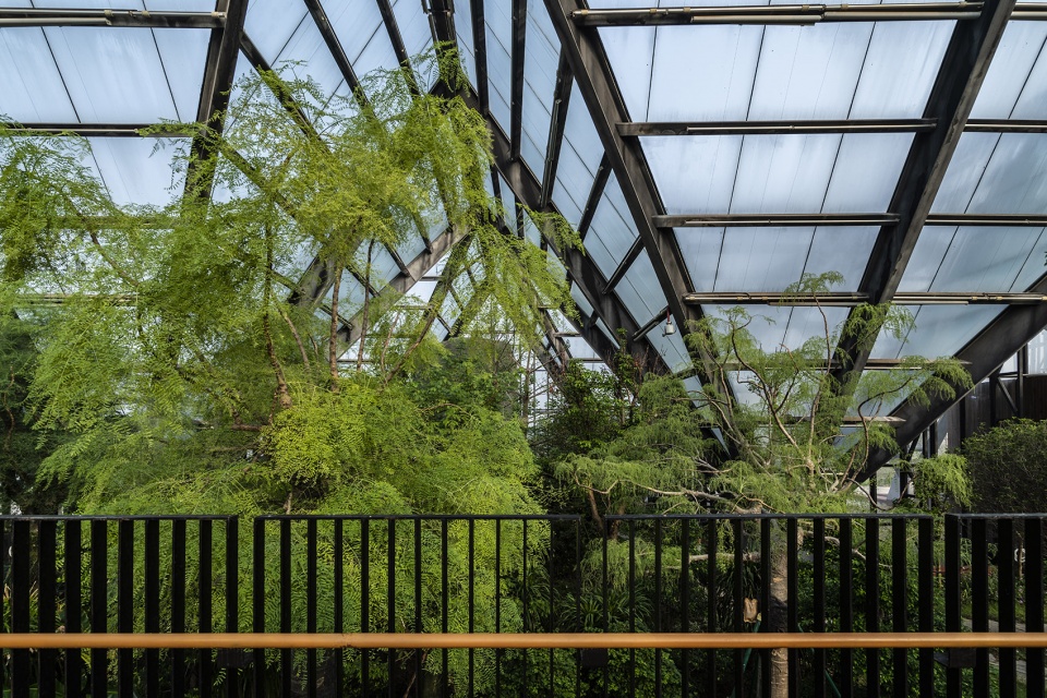 衡水植物园温室展览馆丨中国河北丨空格建筑-103