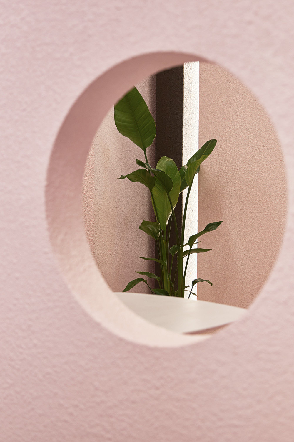 粉色调的 55 度果汁店 | 温馨与潮流的完美融合-22