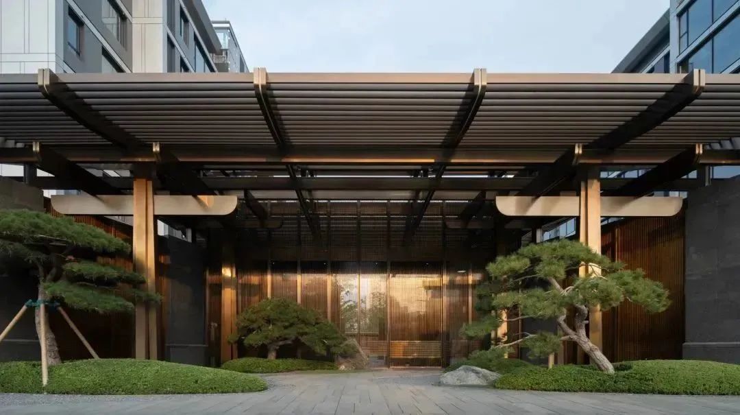 金沙操盘 | 成功经验：从河南火到全国各地（实地考察+主题演讲）-5