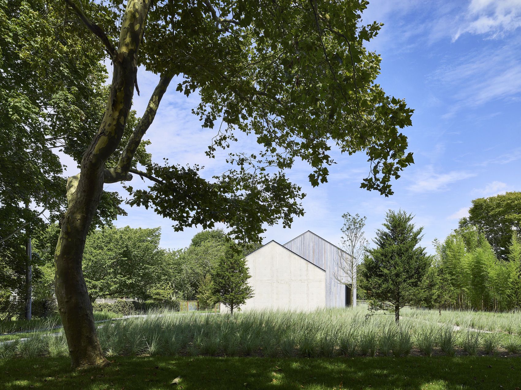 house in the lanes-0