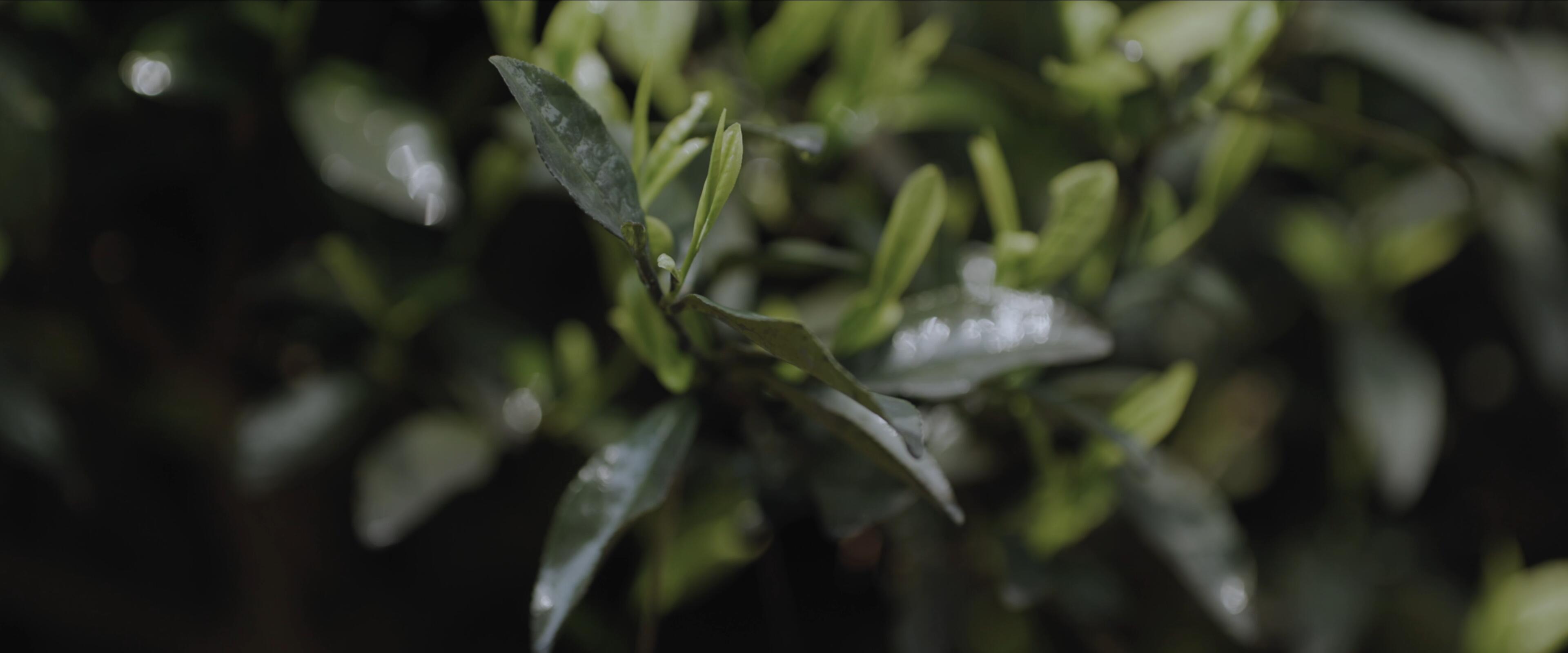 安吉涵田云居酒店-2