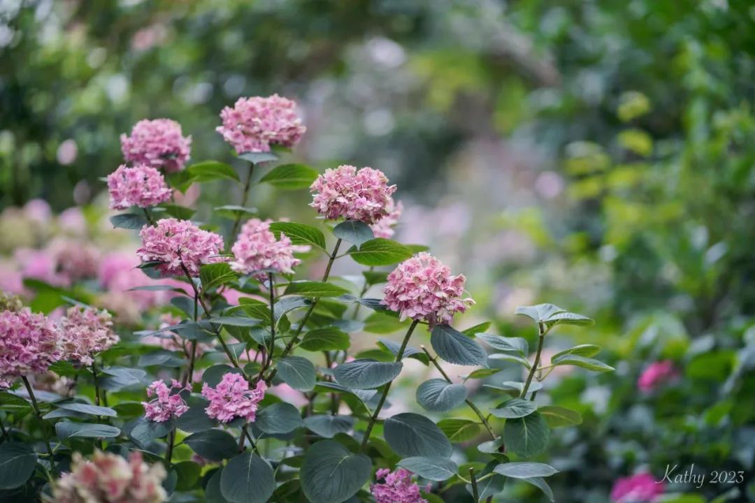 一米花园丨中国上海丨专业设计团队-91