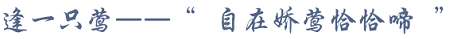 亳州金科府样板间设计丨中国亳州丨树美国内设计中心-21