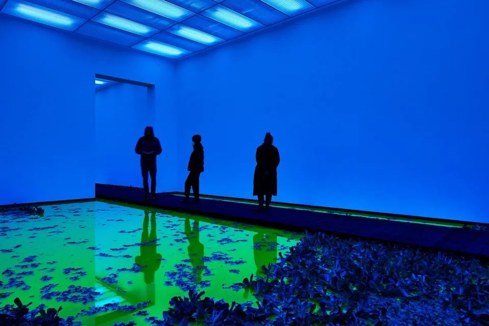 《生命》·融入自然的艺术展览丨Olafur Eliasson-40