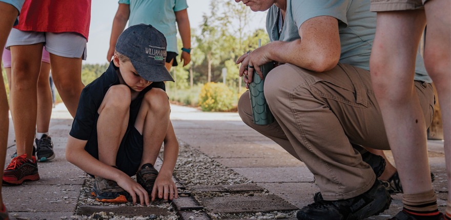 Machicomoco 州立公园丨英国格洛斯特-19