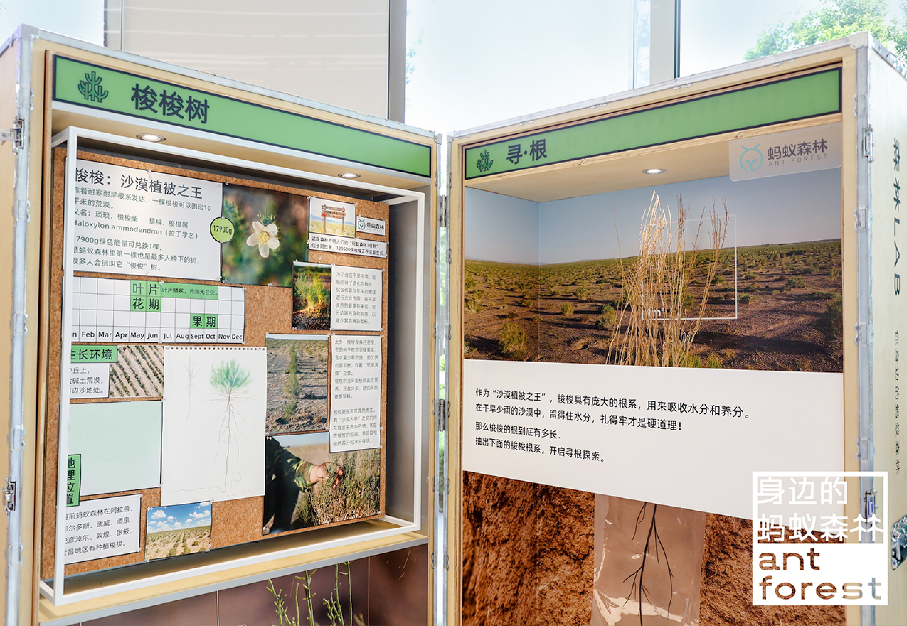 《森林LAB · 城市里的荒漠森林》互动展览丨中国杭州丨蚂蚁森林×不是美术馆-27