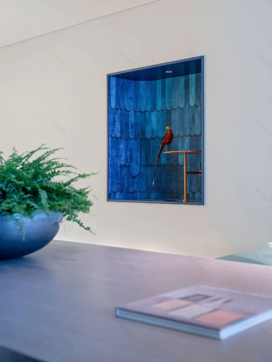 高饱度色彩公寓-54