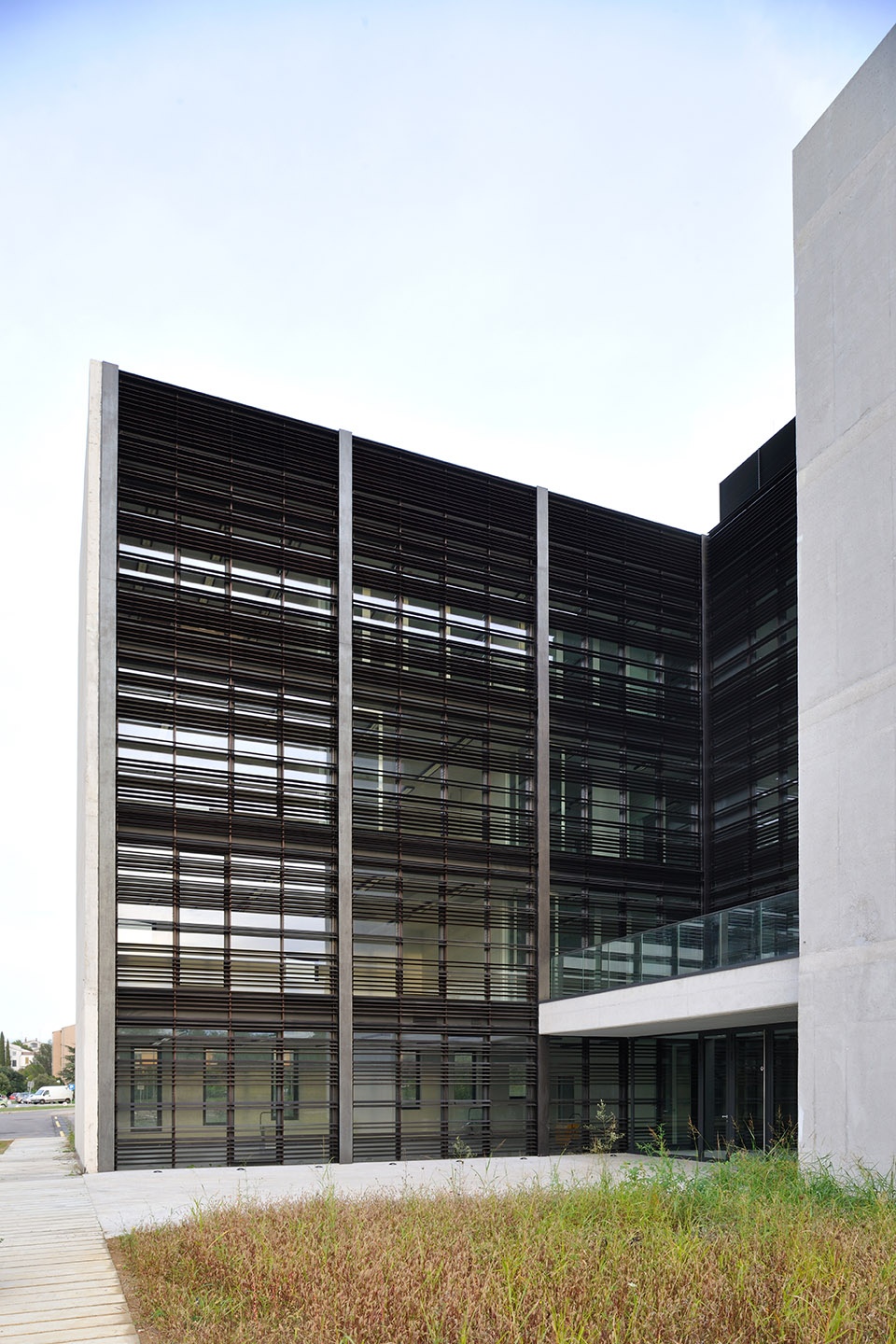 普利莫斯卡大学 Livade 校区教学楼 1·0·融入自然的开放式网络设计-31