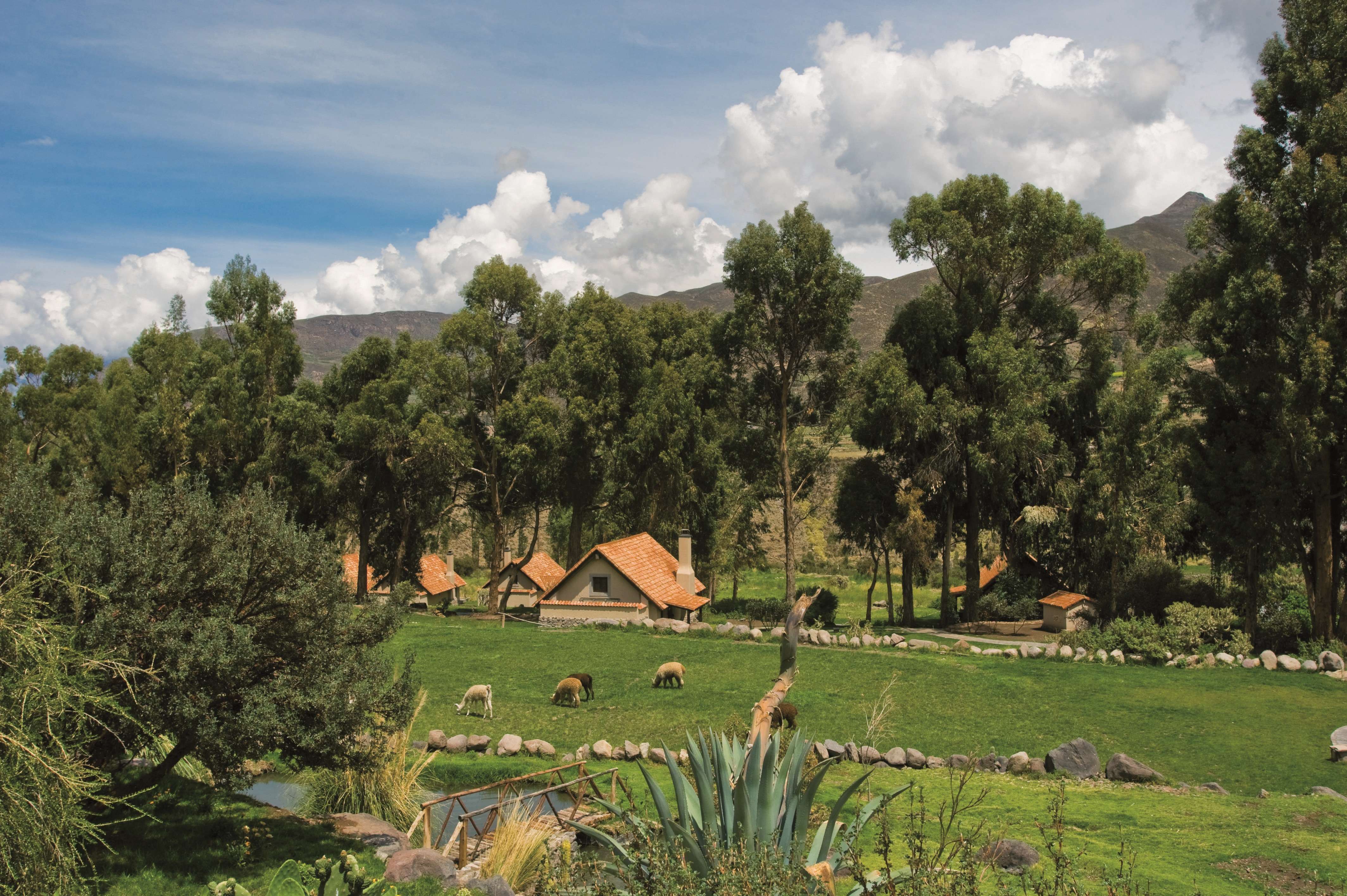 秘鲁 Las Casitas del Colca-6
