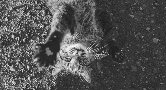 一尺花园（龙湾度假区店）星空屋民宿-137