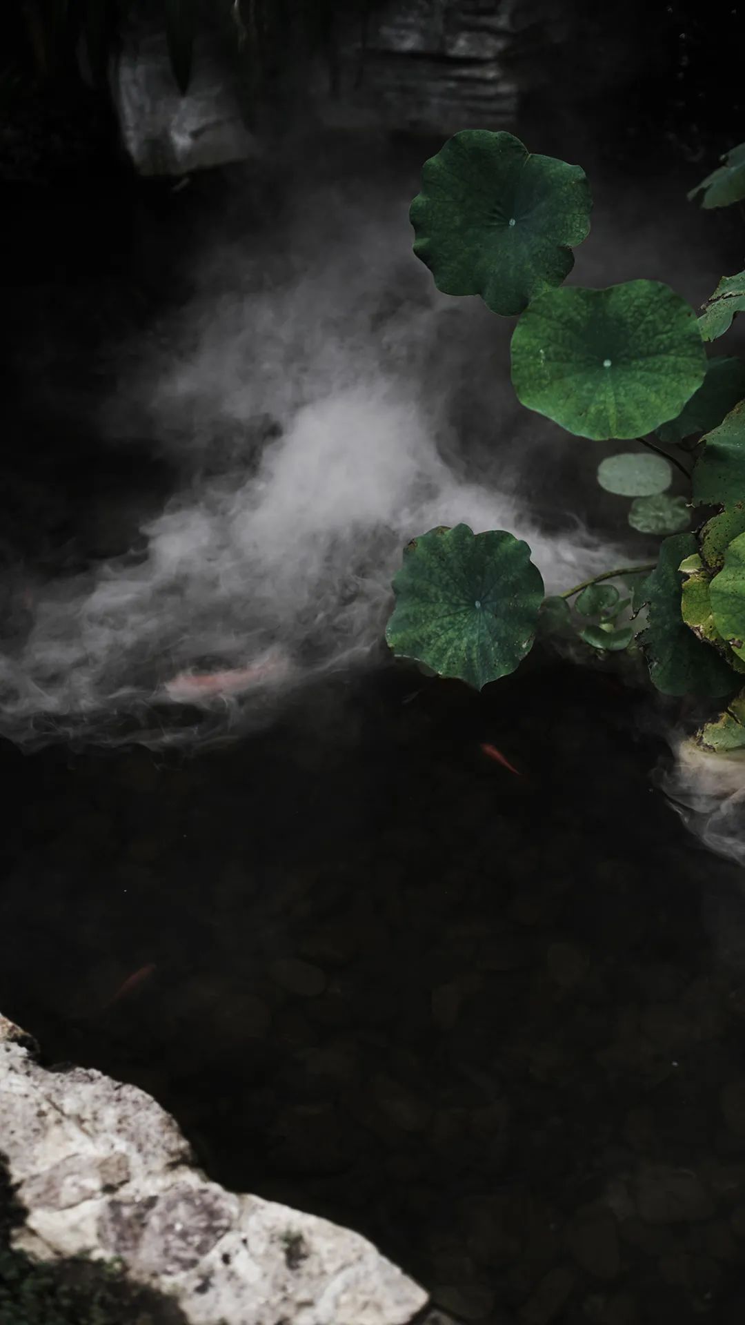 盛旺矿业企业会馆 | 海天一色的人与自然和谐共生-58