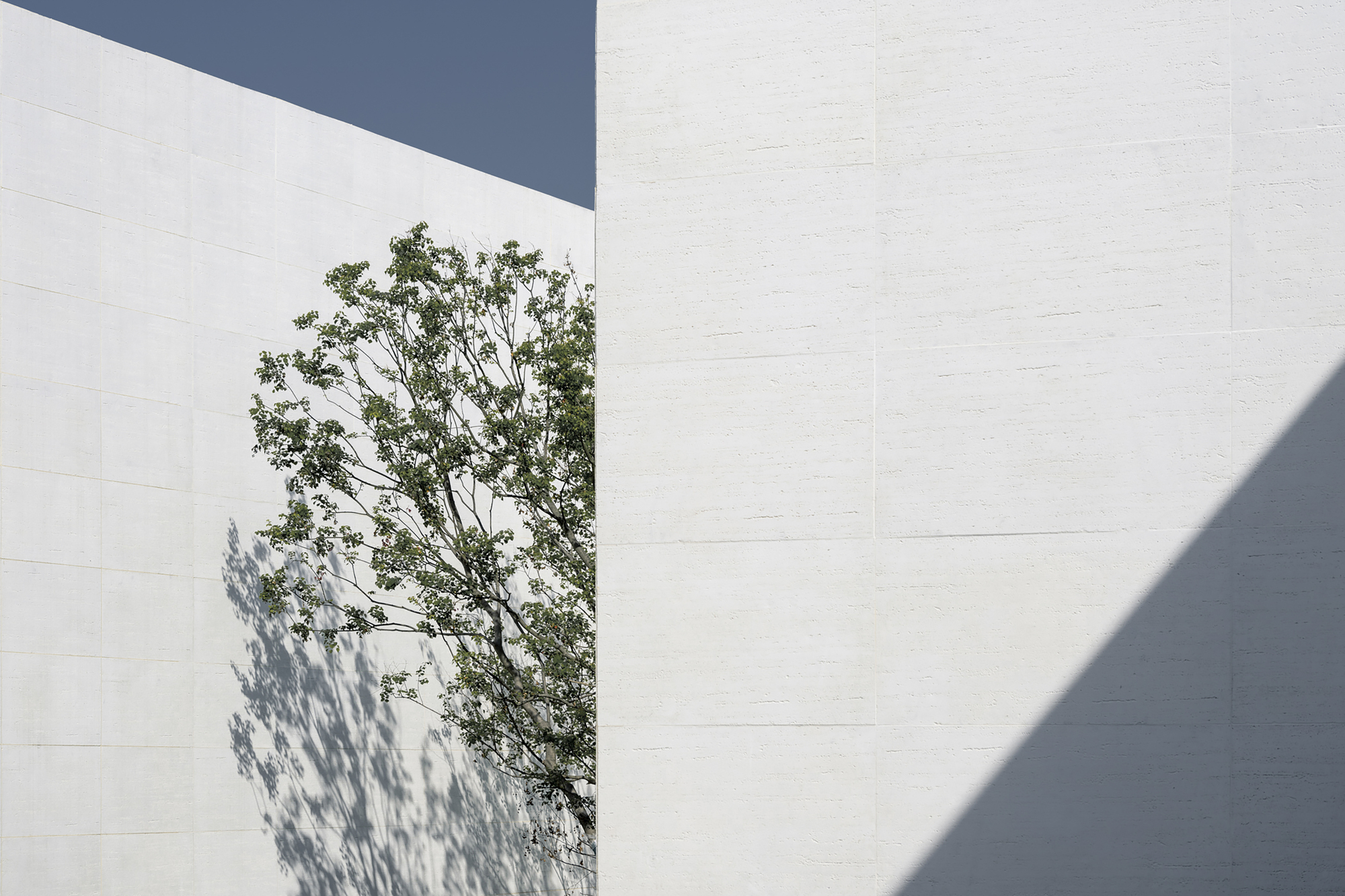 望周及西安 OCAT 美术馆丨中国西安丨IAPA PTY. LTD.-31