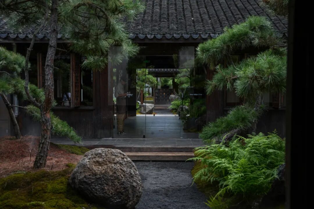 未竟园|当浦东百年历史民宅遇见京都苔寺，会生出怎样的新花园？-6