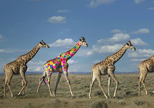 简约探险,气质大宅-0