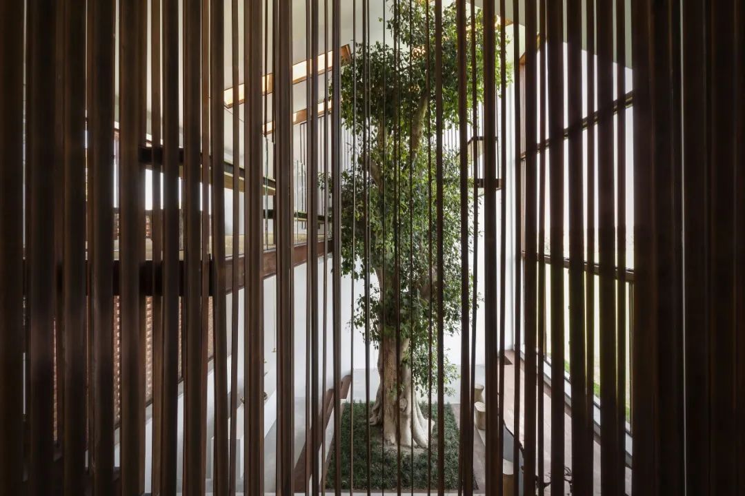 绿色谷仓丨意大利帕尔马丨CRACarlo Ratti Associati-24