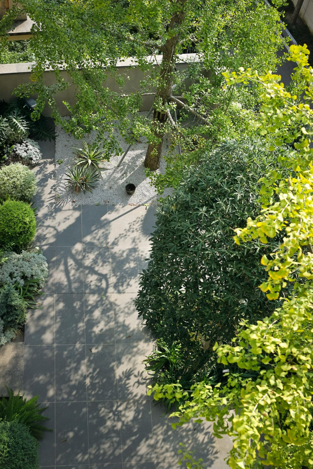 光影扶疏 静默成诗丨中国眉山丨眉山大可设计-3