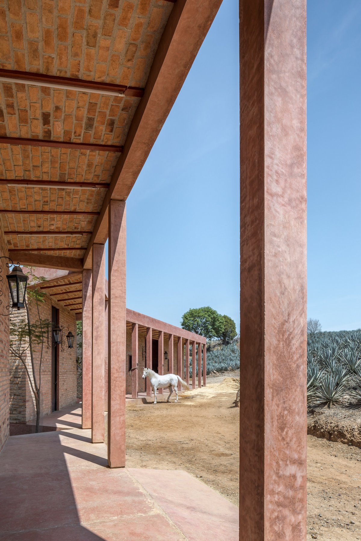 Agavero 牧场丨墨西哥丨1540 Arquitectura-7