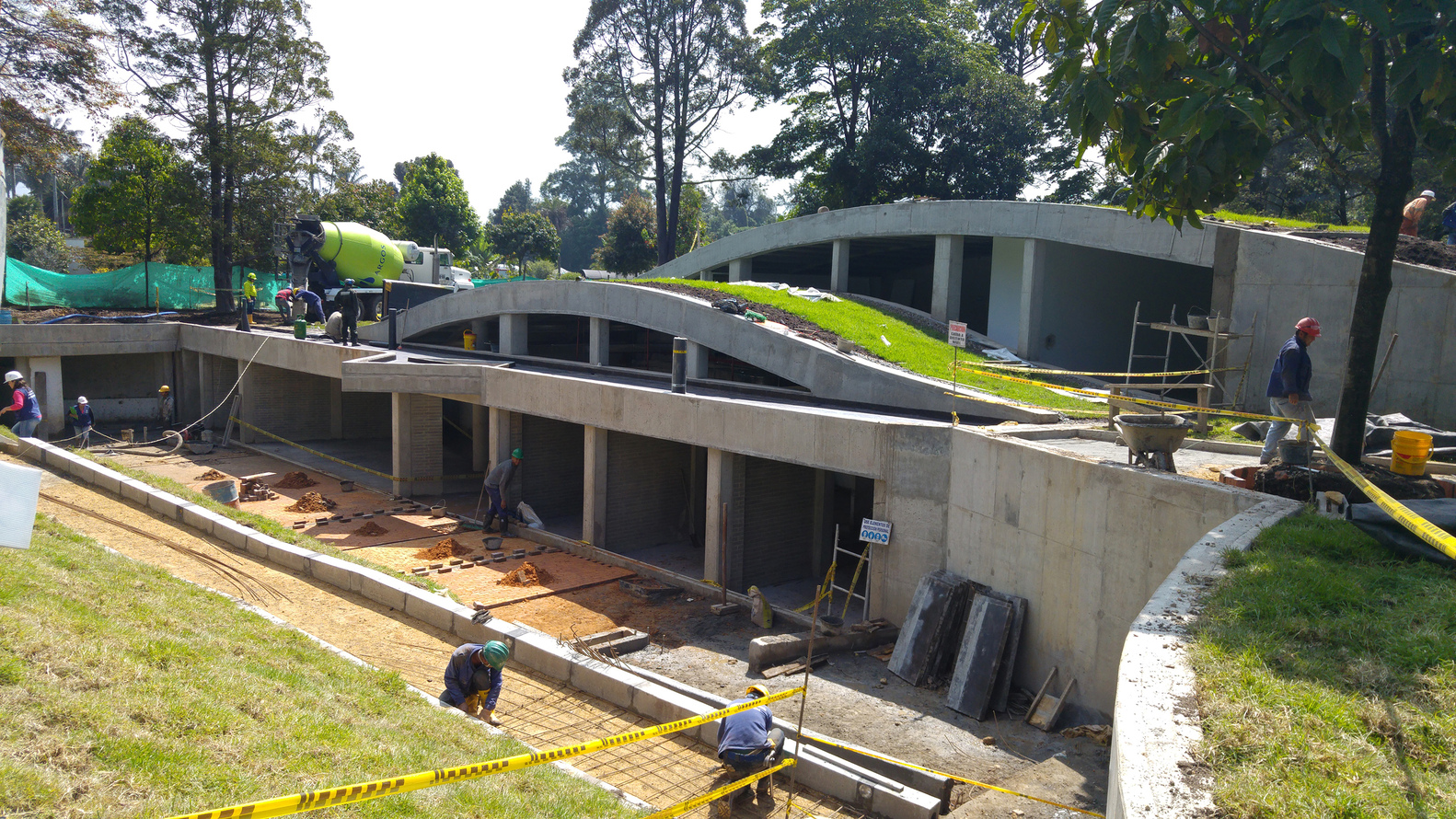 波哥大植物园植物标本馆-65