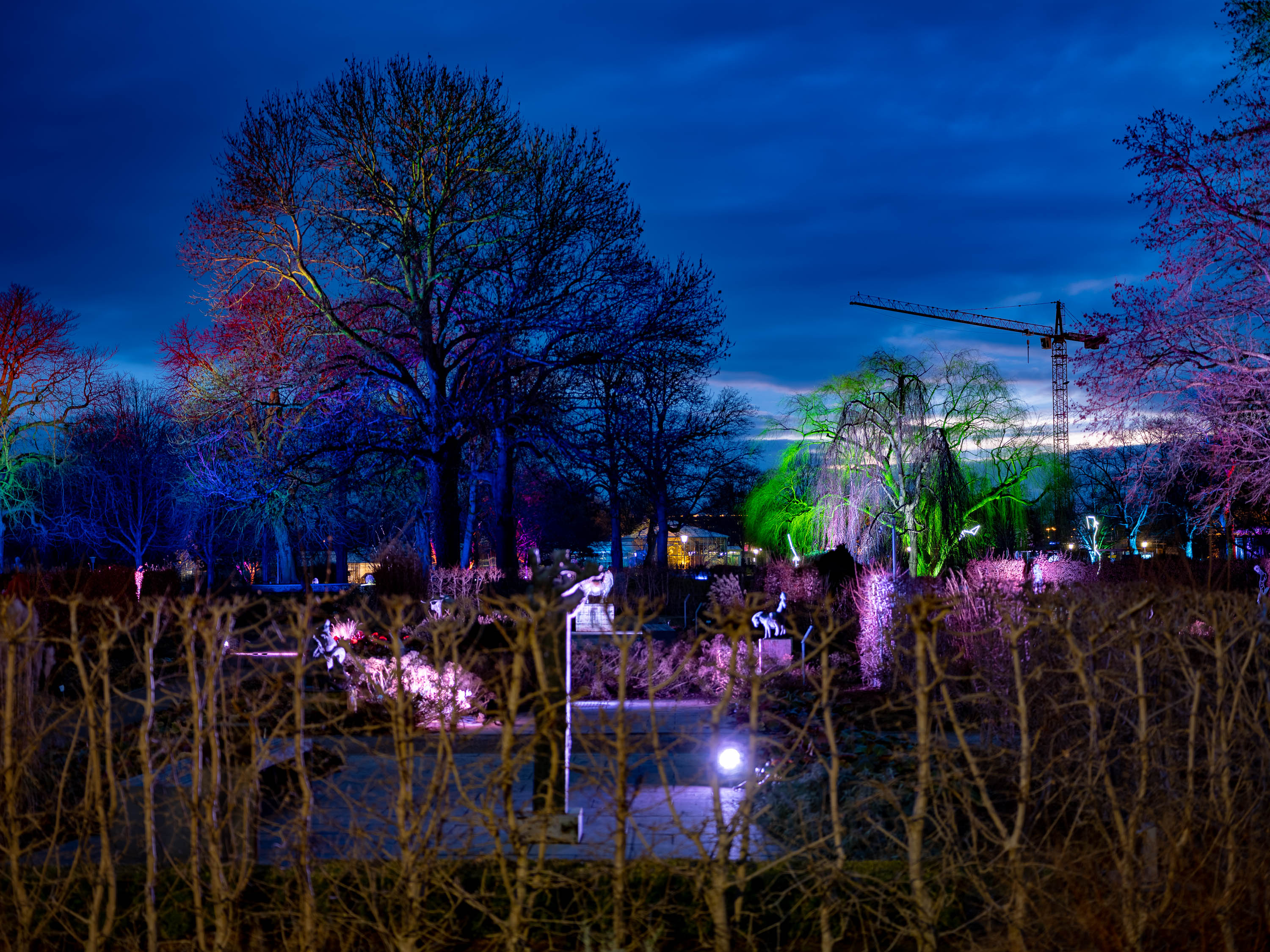 冬日之光丨德国-9