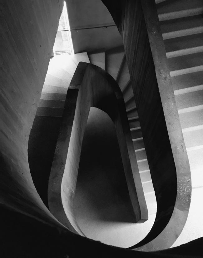 “老虎与乌龟”丨德国丨德国艺术家乌尔里希·根茨和海克·穆特-52