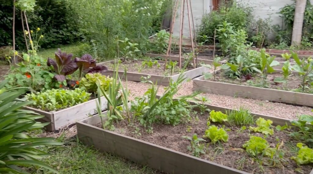 Jardinera Científica的花园（含菜园和鸟类喷泉）丨Dalila（Jardinera Científica）-39