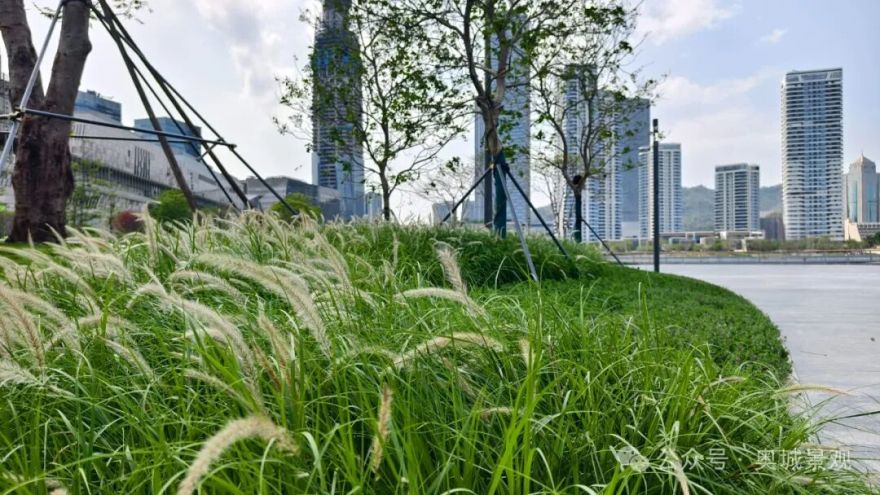 奥城景观||深圳•招商•太子湾K11项目景观工程-46