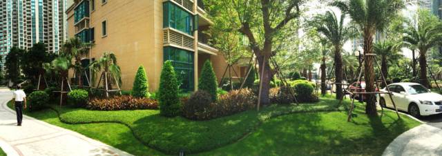 绿化设计中的地被放线手法与植物配置-76