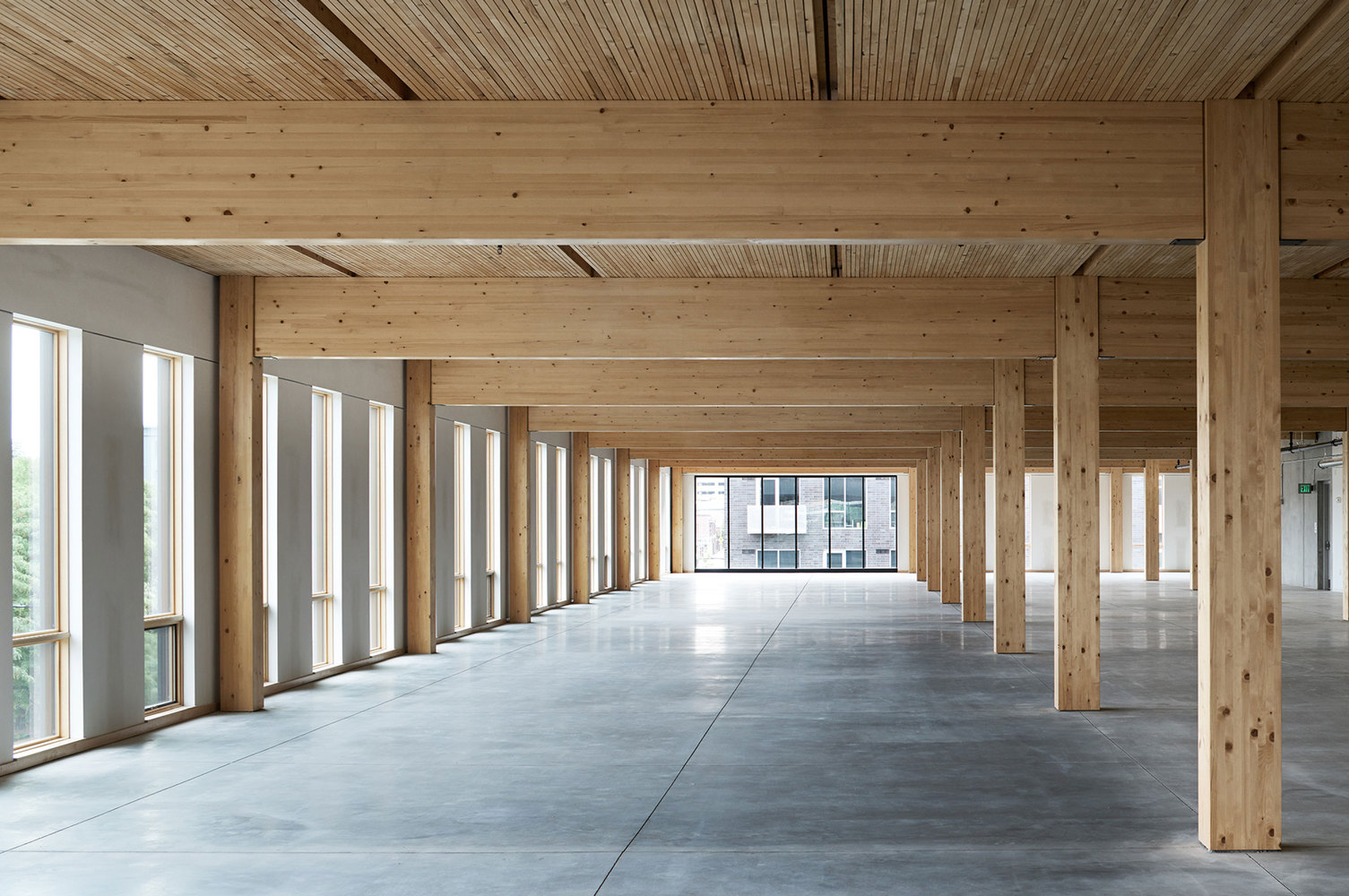 东格兰德 111 号-22