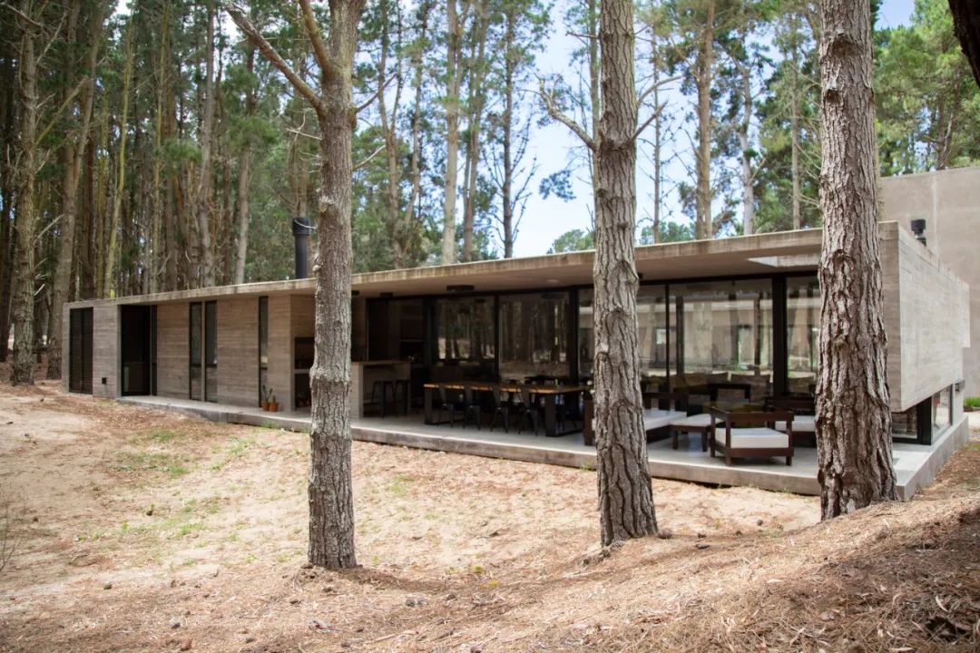 阿根廷 195m²森林避暑别墅丨GGH 设计机构-21