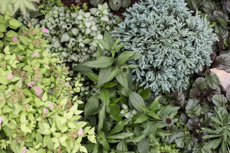 花痴的世界 · 川南小城住宅室内设计丨中国泸州丨境壹空间设计-50