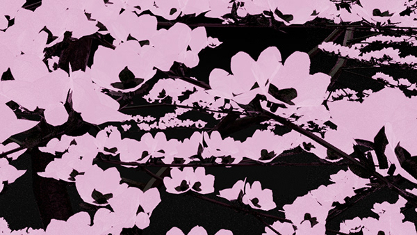 一般资产组合-11