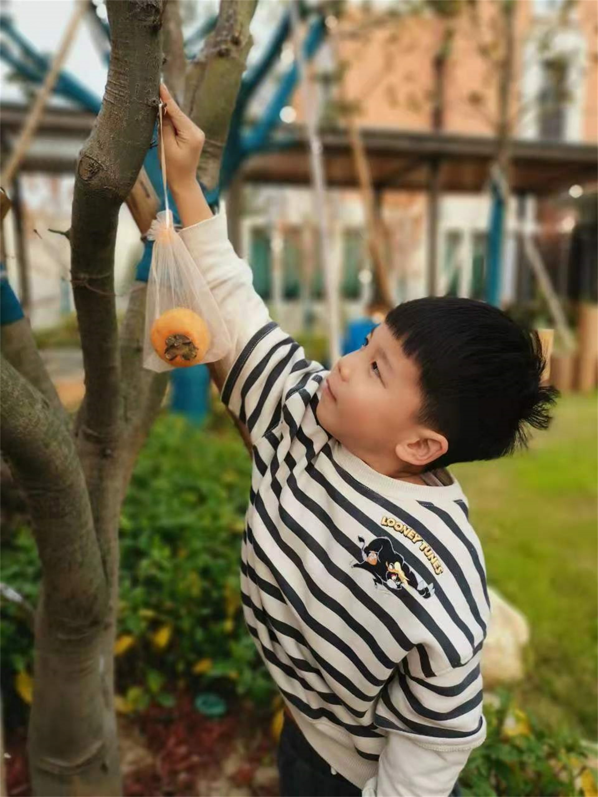 一八学校幼儿园(理想国校区)丨中国郑州丨翰祥景观-60