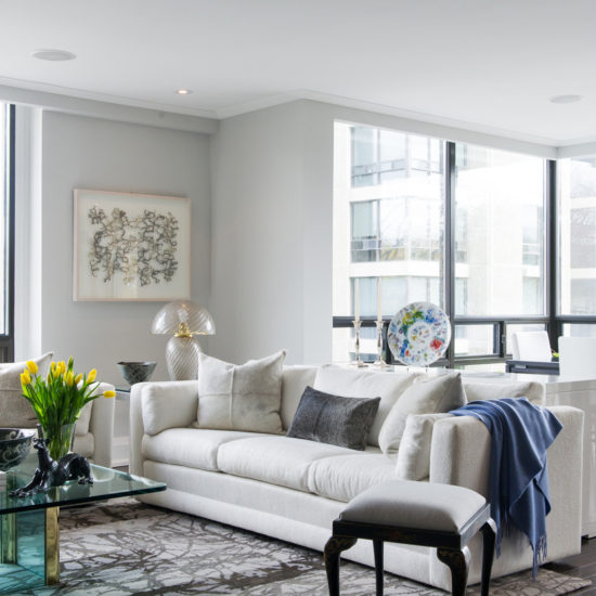 Avenue Road公寓重建项目丨Timothy Johnson Design-3