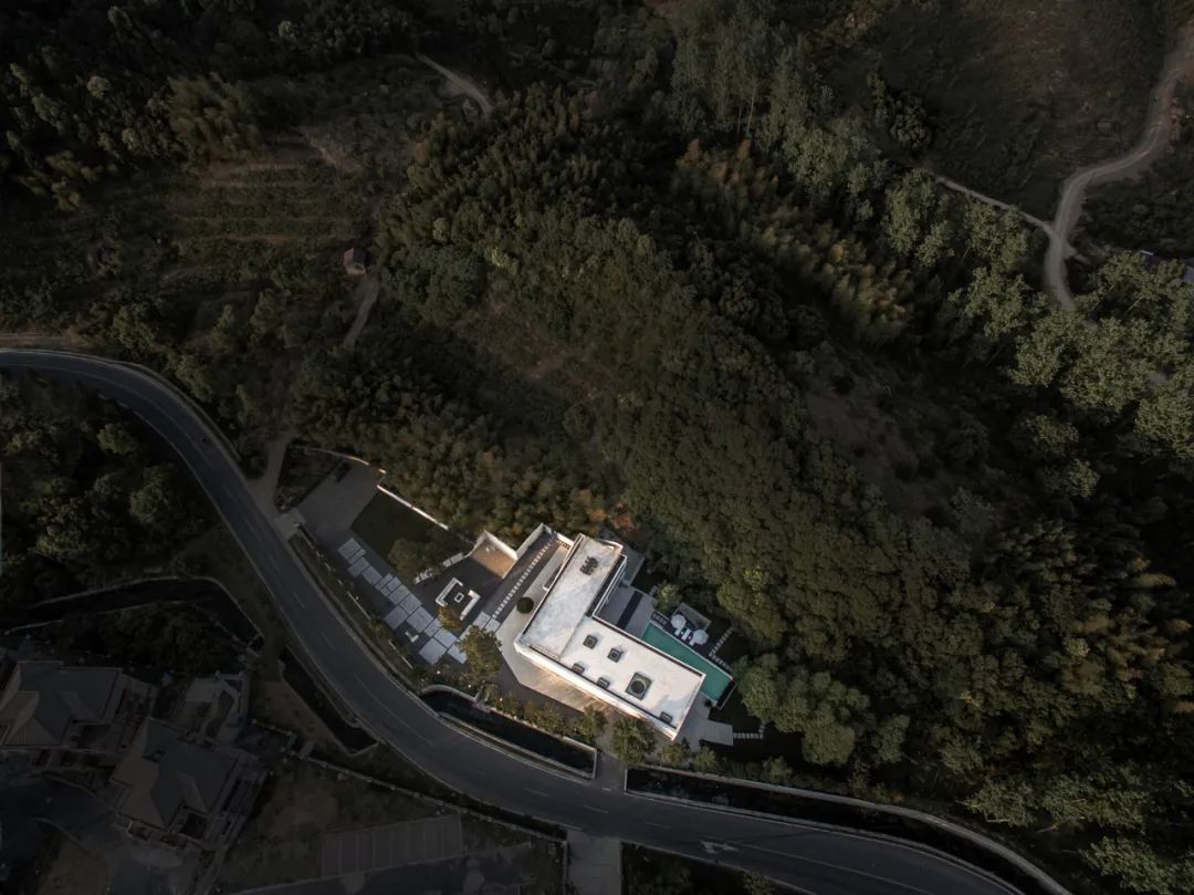 莫干山秘境杉林,尽享自然之美-8