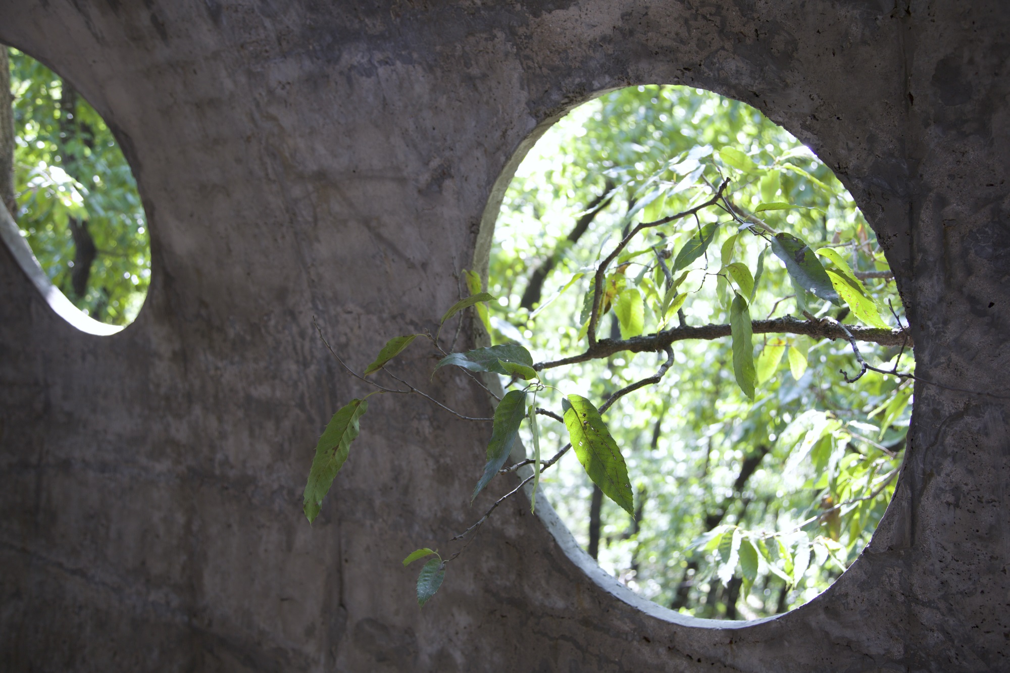 卧虎藏龙美术馆丨中国日照丨孔祥伟工作室-111