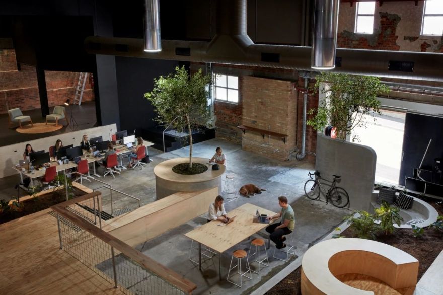 Scrunch 科技公司“丛林”工作场所,历史与自然的完美融合-2