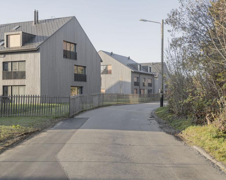 PONT12 architectes sa丨Ecoquartier丨瑞士-10