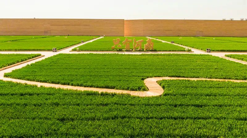 只有河南·戏剧幻城丨中国郑州丨吕元祥设计,永续设计等-27