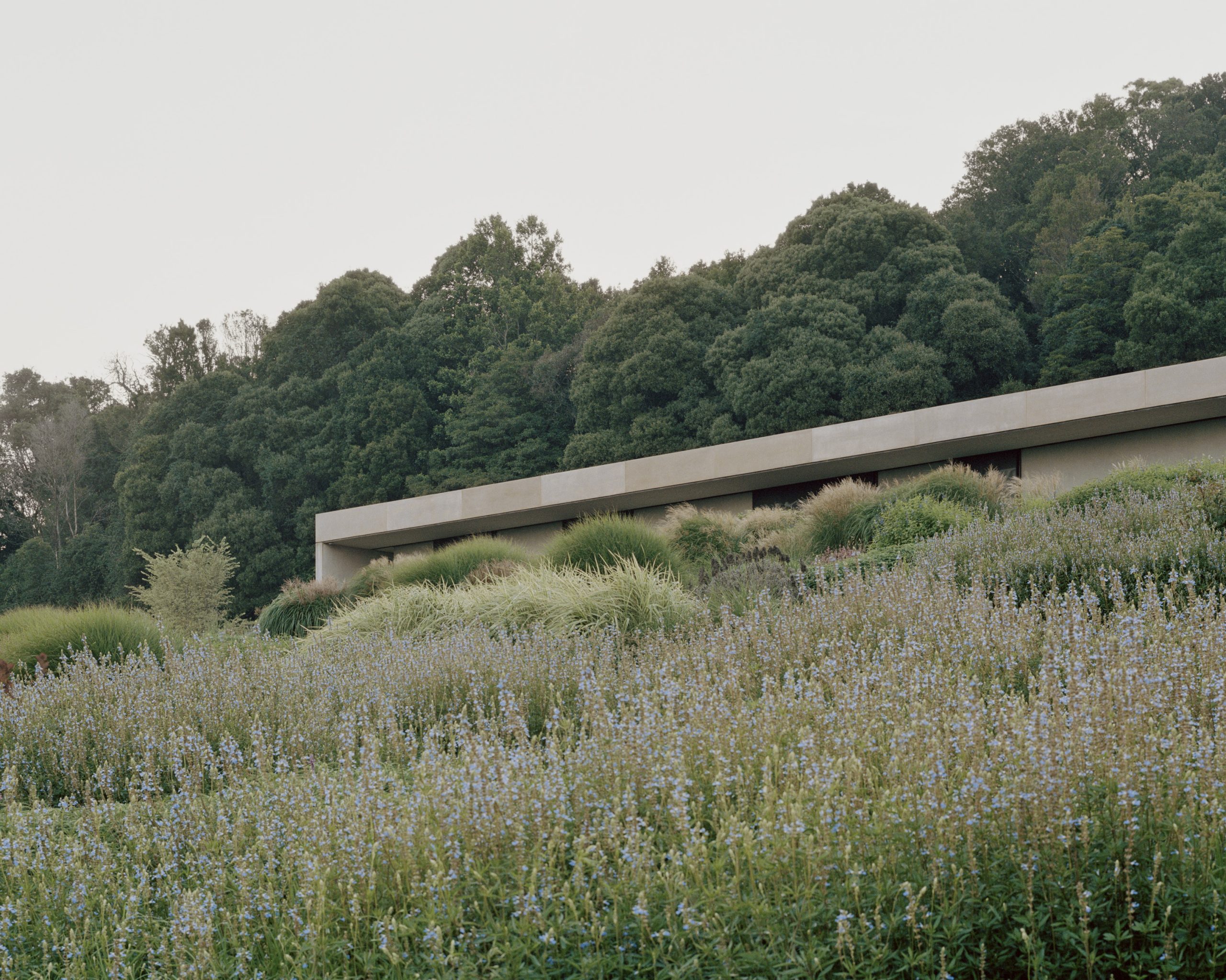 帕洛玛丨澳大利亚悉尼丨Fearon Hay-9