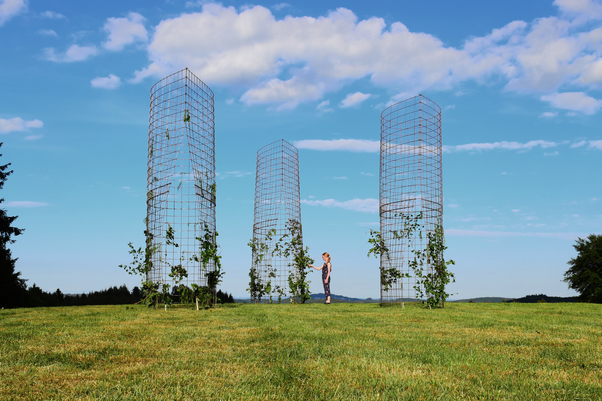 Himmelstropfen Pavilion / Christoph Hesse Architects-9