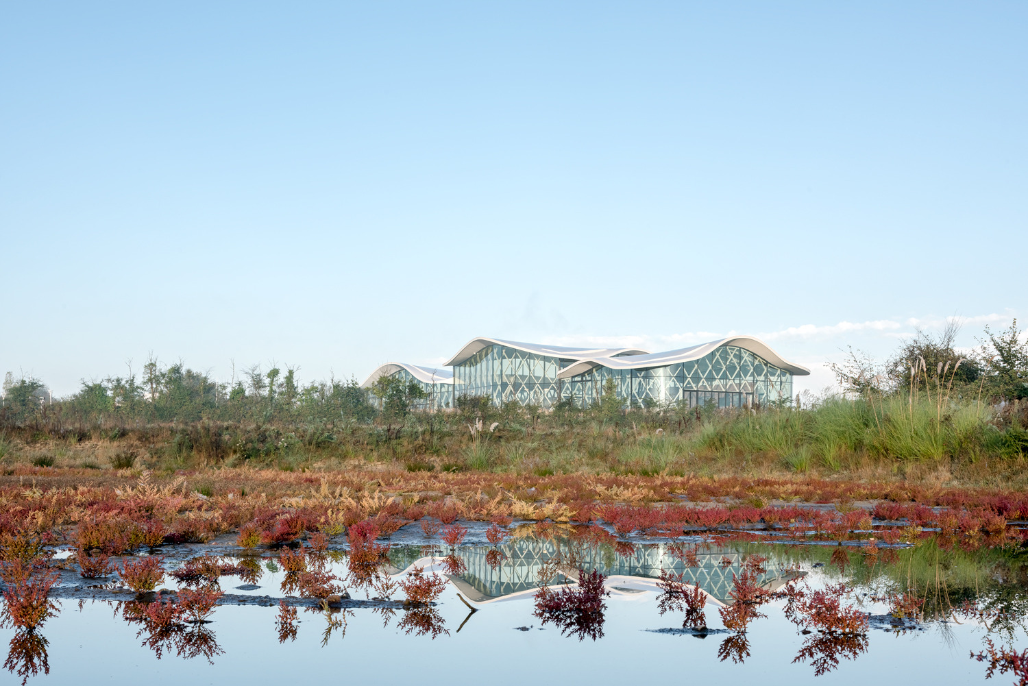 体育馆丨MultiplexeAquatique-21