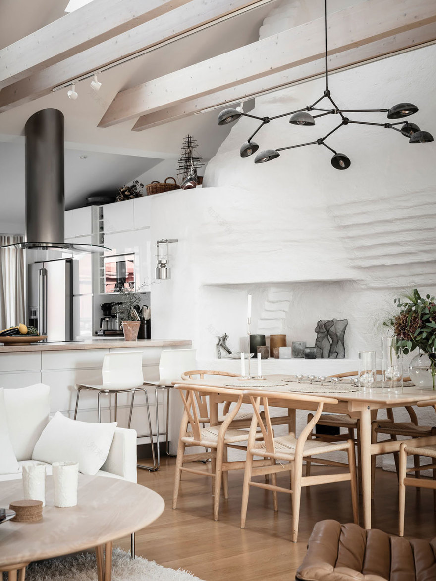 哥德堡明亮宽敞的顶层公寓设计-22