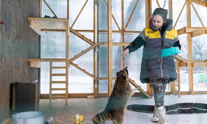 莫斯科“城市农场”丨俄罗斯莫斯科丨俄罗斯建筑事务所Wowhaus-18