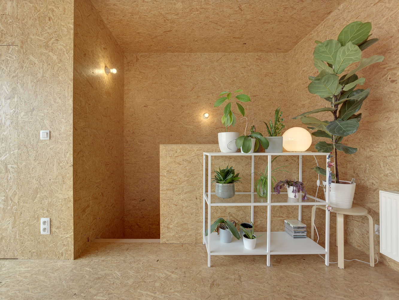 城市绿洲,比利时小屋翻新记-23