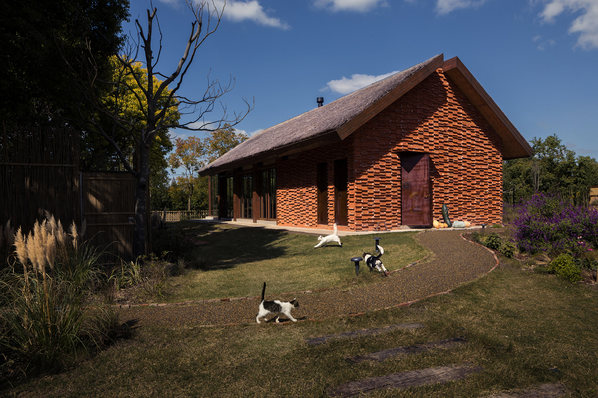 崇明松慢民宿丨中国上海丨RooMoo 如莫空间-30