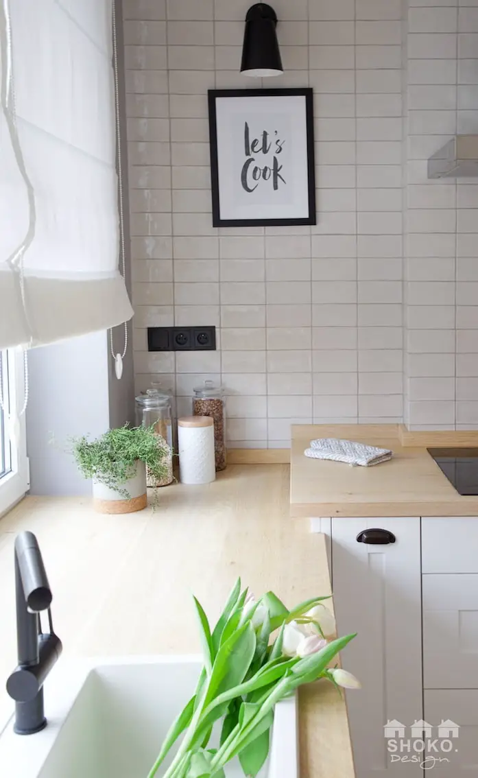 波兰医生植物疗愈之家-7